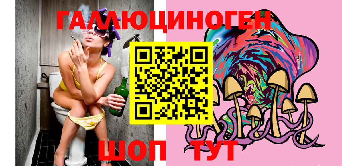 Галлюциногенные грибы Psilocybine cubensis Вязники