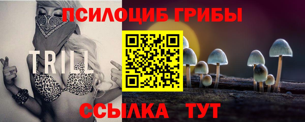 сколько стоит  Псилоцибиновые грибы мицелий  Вход с VPN  Вязники 